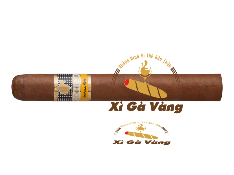 Cận cảnh điếu xì gà Siglo 4